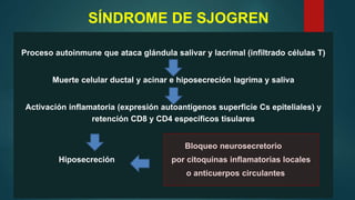 SÍNDROME DE SJOGREN
Proceso autoinmune que ataca glándula salivar y lacrimal (infiltrado células T)
Muerte celular ductal y acinar e hiposecreción lagrima y saliva
Activación inflamatoria (expresión autoantígenos superficie Cs epiteliales) y
retención CD8 y CD4 específicos tisulares
Bloqueo neurosecretorio
Hiposecreción por citoquinas inflamatorias locales
o anticuerpos circulantes
 
