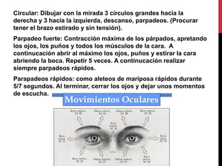 Circular: Dibujar con la mirada 3 círculos grandes hacia la
derecha y 3 hacia la izquierda, descanso, parpadeos. (Procurar
tener el brazo estirado y sin tensión).
Parpadeo fuerte: Contracción máxima de los párpados, apretando
los ojos, los puños y todos los músculos de la cara. A
continucación abrir al máximo los ojos, puños y estirar la cara
abriendo la boca. Repetir 5 veces. A continucación realizar
siempre parpadeos rápidos.
Parapadeos rápidos: como aleteos de mariposa rápidos durante
5/7 segundos. Al terminar, cerrar los ojos y dejar unos momentos
de escucha.
 