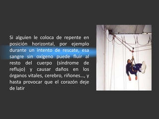 Si alguien le coloca de repente en
posición horizontal, por ejemplo
durante un intento de rescate, esa
sangre sin oxígeno puede fluir al
resto del cuerpo (síndrome de
reflujo) y causar daños en los
órganos vitales, cerebro, riñones…, y
hasta provocar que el corazón deje
de latir
 
