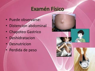 Examén Físico
•   Puede observarse:
•   Distencion abdominal
•   Chapoteo Gastrico
•   Deshidratacion
•   Desnutricion
•   Perdida de peso
 