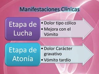 Manifestaciones Clínicas

Etapa de   • Dolor tipo cólico
           • Mejora con el
 Lucha       Vómito


Etapa de   • Dolor Carácter
             gravativo
 Atonía    • Vómito tardío
 