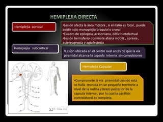 Hemiplejia Capsular
Hemiplejia cortical
Hemiplejia subcortical
•Lesión afecta la área motora , si el daño es focal , puede
existir solo monoplejia braquial o crural
•Cuadro de epilepsia jacksoniana, déficit intelectual
•Lesión hemisferio domínate afasia motriz , apraxia ,
astereognosia y agtafestesia
•Lesión ubicada en el centro oval antes de que la vía
piramidal alcance la capsula interna sin convulsiones
•Compromete la vía piramidal cuando esta
se halla reunida en un pequeño territorio a
nivel de la rodilla y brazo posterior de la
capsula interna , por lo cual la parálisis
contralateral es completa.
 