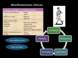 Hemiplejia
Hemiparesia
CuadriplejiaMonoplejia
Parálisis
Paresia(Reduccion)
Plejia (perdida)
 