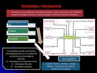  Consisten en la perdida de movilidad voluntaria , total o parcial en una mitad del
cuerpo. Se designa derecha e izquierda según el lado de la parálisis afectada.
faciobraquiocrur
al
Súbita
Gradual
Ictus apoplético
Cuadro mareos , vómitos , vértigo
cefalea ,, trastornos del sueño o
cambios de conducta.
La hemiplejia puede reconocerse
semiológicamente con 3 cuadros de
características semiológicas
distintas.
1) Hemiplejia en el paciente coma
2) Hemiplejia fláccida
3) Hemiplejia espástica
 