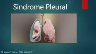 Sindrome Pleural
DR ALVARO FABIAN PAEZ RAMIREZ
 