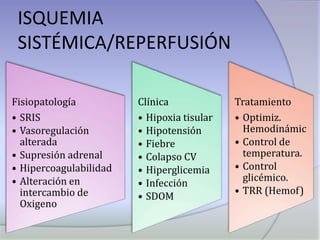 ISQUEMIA SISTÉMICA/REPERFUSIÓN