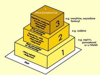 PROCEDIMENTOS 4 