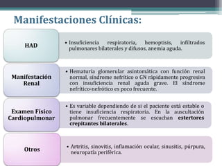 Manifestaciones Clínicas:
• Insuficiencia respiratoria, hemoptisis, infiltrados
pulmonares bilaterales y difusos, anemia aguda.HAD
• Hematuria glomerular asintomática con función renal
normal, síndrome nefrítico o GN rápidamente progresiva
con insuficiencia renal aguda grave. El síndrome
nefrítico-nefrótico es poco frecuente.
Manifestación
Renal
• Es variable dependiendo de si el paciente está estable o
tiene insuficiencia respiratoria. En la auscultación
pulmonar frecuentemente se escuchan estertores
crepitantes bilaterales.
Examen Físico
Cardiopulmonar
• Artritis, sinovitis, inflamación ocular, sinusitis, púrpura,
neuropatía periférica.Otros
 