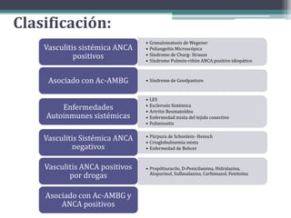 Clasificación:
• Granulomatosis de Wegener
• Poliangeítis Microscópica
• Síndrome de Churg- Strauss
• Síndrome Pulmón-riñón ANCA positivo idiopático
Vasculitis sistémica ANCA
positivos
• Síndrome de GoodpastureAsociado con Ac-AMBG
• LES
• Esclerosis Sistémica
• Artritis Reumatoídea
• Enfermedad mixta del tejido conectivo
• Polimiositis
Enfermedades
Autoinmunes sistémicas
• Púrpura de Schonlein- Henoch
• Crioglobulinemia mixta
• Enfermedad de Behcet
Vasculitis Sistémica ANCA
negativos
• Propiltiuracilo, D-Penicilamina, Hidralazina,
Alopurinol, Sulfasalazina, Carbimazol, Fenitoína
Vasculitis ANCA positivos
por drogas
Asociado con Ac-AMBG y
ANCA positivos
 