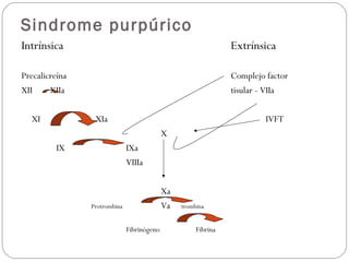 Sindrome purpúrico
Intrínsica Extrínsica
Precalicreína Complejo factor
XII XIIa tisular - VIIa
XI XIa IVFT
X
IX IXa
VIIIa
Xa
Protrombina Va trombina
Fibrinógeno Fibrina
 