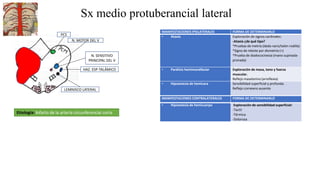 Sx medio protuberancial lateral
HAZ. ESP-TALÁMICO
N. MOTOR DEL V
Etiología: Infarto de la arteria circunferencial corta
N. SENSITIVO
PRINCIPAL DEL V
LEMNISCO LATERAL
PCS
MANIFESTACIONES IPSILATERALES FORMA DE DETERMINARLO
• Ataxia Exploración de signos cardinales:
-Ataxia ¿de qué tipo?
*Pruebas de metria (dedo nariz/talón rodilla)
*Signo de rebote por dismetría (+)
*Prueba de diadococinesia (mano supinada-
pronada)
• Parálisis hemimandibular Exploración de masa, tono y fuerza
muscular.
Reflejo maseterino (arreflexia)
• Hipoestesia de hemicara Sensibilidad superficial y profunda.
Reflejo corneano ausente
MANIFESTACIONES CONTRALATERALES FORMA DE DETERMINARLO
• Hipoestesia de hemicuerpo Exploración de sensibilidad superficial:
-Tactil
-Térmica
-Dolorosa
 