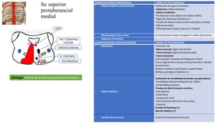 Sx superior
protuberancial
medial
LEMNISCO MEDIAL
FLM
Etiología: Infarto de la arteria paramediana pontina
HAZ TEGMENTAL
CENTRAL
VÍA PIRAMIDAL
MANIFESTACIONES IPSILATERALES FORMA DE DETERMINARLO
• Ataxia cerebelosa (inscontante) Exploración de signos cardinales:
-Hipotonía (reflejo pendular)
-Ataxia cerebelosa
*Pruebas de metria (dedo nariz/talón rodilla)
*Signo de rebote por dismetría (+)
*Prueba de diadococinesia (mano supinada-pronada)
*Marcha de ebrio
*Dificultad para realizar marcha en Tandém
• Oftalmoplejia internuclear Se comprueba mirada conjugada en ambas direcciones.
• Síndrome mioclónico
MANIFESTACIONES CONTRALATERALES FORMA DE DETERMINARLO
• Hemiplejia
• Ataxia sensitiva
• Parálisis facial central
Valoración de:
-Masa muscular (signos de atrofia)
-Tono muscular (signos de espasticidad)
-Fuerza muscular:
Fuerza global: maniobra de Mingazzini y Barré
Fuerza segmentaria: de porciones proximales y distales
de miembros.
Reflejos miotáticos (profundos y superficiales)
Reflejos patológicos: Babinski (+)
Evaluación de sensibilidad profunda o propioceptiva:
-Sensibilidad vibratoria (diapasón de 128Hz)
-Sensibilidad posicional
Pruebas de discriminación sensitiva
-Esterognosia
-Grafestesia
-Localización táctil
-Discriminación táctil entre dos puntos
-Extinción
Prueba de Romberg (+)
Marcha tabética (+)
Simetría facial (desviación bucal)
N. PONTINOS
 