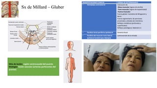Sx de Millard – Gluber
Sitio de lesión: región ventrocaudal del puente
Etiología: lesión vascular (arterias perforantes del
puente)
MANIFESTACIONES CLINICAS FORMA DE DETERMINARLO
• Hemiplejia contralateral Valoración de:
-Masa muscular (signos de atrofia)
-Tono muscular (signos de espasticidad)
-Fuerza muscular:
Fuerza global: maniobra de Mingazzini y
Barré
Fuerza segmentaria: de porciones
proximales y distales de miembros.
Reflejos miotáticos (profundos y
superficiales)
Reflejos patológicos: Babinski (+)
• Parálisis facial periférica ipsilateral Simetría facial
• Parálisis del musculo recto lateral
ipsilateral (endotropia-diplopía)
Lateroversión de la mirada
 