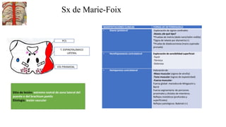 Sx de Marie-Foix
Sitio de lesión: extremo rostral de zona lateral del
puente o del brachium pontis
Etiología: lesión vascular
MANIFESTACIONES CLINICAS FORMA DE DETERMINARLO
• Ataxia ipsilateral Exploración de signos cardinales:
-Ataxia ¿de qué tipo?
*Pruebas de metria (dedo nariz/talón rodilla)
*Signo de rebote por dismetría (+)
*Prueba de diadococinesia (mano supinada-
pronada)
• Hemihipoestesia contralateral Exploración de sensibilidad superficial:
-Tactil
-Térmica
-Dolorosa
• Hemiparesia contralateral Valoración de:
-Masa muscular (signos de atrofia)
-Tono muscular (signos de espasticidad)
-Fuerza muscular:
Fuerza global: maniobra de Mingazzini y
Barré
Fuerza segmentaria: de porciones
proximales y distales de miembros.
Reflejos miotáticos (profundos y
superficiales)
Reflejos patológicos: Babinski (+)
T. ESPINOTALÁMICO
LATERAL
VÍA PIRAMIDAL
PCS
 