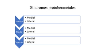Síndromes protuberanciales
Inferior
• Medial
• Lateral
Medio
• Medial
• Lateral
Superior
• Medial
• Lateral
 