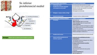 Sx inferior
protuberancial medial
LEMNISCO MEDIAL
N. VESTIBULAR MEDIAL
Etiología: Infarto de la arteria paramediana pontina
NUCLEO VI
VÍA PIRAMIDAL
N. PONTINOS
F.R.P.P
MANIFESTACIONES IPSILATERALES FORMA DE DETERMINARLO
• Endotropía ocular Se comprueba lateroversión de mirada.
• Parálisis de la mirada conjugada
(convergencia conservada)
Se comprueba la mirada conjugada horizontal
derecho, en este caso ausente, y la de lado
izquierdo conservado.
Convergencia conservada
• Nistagmo , nausea, vómito, vértigo
• Ataxia de hemicuerpo Prueba de metria y diadococinesia
MANIFESTACIONES CONTRALATERALES FORMA DE DETERMINARLO
• Hemiplejia Valoración de:
-Masa muscular (signos de atrofia)
-Tono muscular (signos de espasticidad)
-Fuerza muscular:
Fuerza global: maniobra de Mingazzini y Barré
Fuerza segmentaria: de porciones proximales
y distales de miembros.
Reflejos miotáticos (profundos y superficiales)
Reflejos patológicos: Babinski (+)
• Parálisis facial central Simetría facial (desviación de comisura bucal)
• Ataxia sensitiva (predominio de
miembro superior)
Evaluación de sensibilidad profunda o
propioceptiva:
-Sensibilidad vibratoria (diapasón de 128Hz)
-Sensibilidad posicional
Pruebas de discriminación sensitiva
-Esterognosia
-Grafestesia
-Localización táctil
-Discriminación táctil entre dos puntos
-Extinción
Prueba de Romberg (+)
Marcha tabética (+)
 