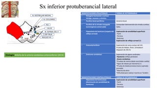 Sx inferior protuberancial lateral
NUCLEO VII
N. VESTIBULAR MEDIAL
Etiología: Infarto de la arteria cerebelosa anteroinferior (AICA)
F.R.P.P
MANIFESTACIONES IPSILATERALES FORMA DE DETERMINARLO
• Nistagmo horizontal o vertical.
Vértigo, nauseas y vómitos.
• Parálisis facial periférica Simetría facial
• Parálisis de la mirada conjugada
(convergencia conservada)
• Hipoestesia de hemicara (respeto del
reflejo corneal)
Comprobar lateroversión de mirada a ambos
lados.
Exploración de sensibilidad superficial:
-Tactil
-Térmica
-Dolorosa
Exploración de reflejo corneal (+)
• Anacusia/acúfeno Exploración de rama coclear del VIII:
Prueba de Weber, Riner, Schwabach
Diapasón de 256 Hz
• Síndrome cerebeloso Exploración de signos cardinales:
-Hipotonía (reflejo pendular)
-Ataxia cerebelosa
*Pruebas de metria (dedo nariz/talón rodilla)
*Signo de rebote por dismetría (+)
*Prueba de diadococinesia (mano supinada-
pronada)
*Marcha de ebrio
*Dificultad para realizar marcha en Tandém
MANIFESTACIONES CONTRALATERALES FORMA DE DETERMINARLO
• Hipoestesia de hemicuerpo
(disminución de sensibilidad de
hemicara)
Exploración de sensibilidad superficial:
-Tactil
-Térmica
-Dolorosa
N. ESPINAL DEL V
N. COCLEARES
PCI
T. ESP-TALA.
 