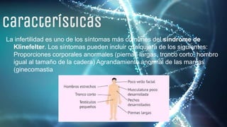 Características
La infertilidad es uno de los síntomas más comunes del síndrome de
Klinefelter. Los síntomas pueden incluir cualquiera de los siguientes:
Proporciones corporales anormales (piernas largas, tronco corto, hombro
igual al tamaño de la cadera) Agrandamiento anormal de las mamas
(ginecomastia
 