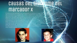 Causas del síndrome del
marcador X
El síndrome del marcador X es causado por un cambio en el gen FMR1. El código del gen se repite en un área frágil
del cromosoma X y, cuantas más copias o repeticiones haya, mayor probabilidad habrá de que sea un problema.
Normalmente, el gen FMR1 produce una proteína que se necesita para que el cerebro crezca apropiadamente. Un
defecto en este gen hace que el cuerpo produzca muy poco de esta proteína o nada del todo.
Tanto los niños como las niñas pueden resultar afectados, pero debido a que los niños tienen únicamente un
cromosoma X, es más probable que un solo cromosoma X frágil los afecte con más gravedad. Una persona puede
tener el síndrome del cromosoma X frágil incluso si sus padres no lo padecen.
La incidencia del síndrome del cromosoma X frágil es de 1 de 15000 nacimientos de varones y puede explicar gran
parte del exceso de varones en la población con retraso mental.
Se debe buscar asistencia médica si se sospecha la posibilidad de síndrome de cromosoma X frágil en un niño que
tiene retardo mental.
 