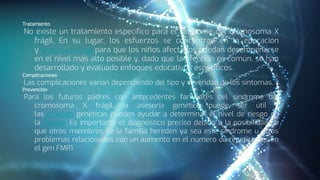 Tratamiento
No existe un tratamiento específico para el síndrome del cromosoma X
frágil. En su lugar, los esfuerzos se concentran en la educación
y entrenamiento para que los niños afectados puedan desempeñarse
en el nivel más alto posible y, dado que la afección es común, se han
desarrollado y evaluado enfoques educativos específicos.
Complicaciones
Las complicaciones varían dependiendo del tipo y severidad de los síntomas.
Prevención
Para los futuros padres con antecedentes familiares del síndrome del
cromosoma X frágil, la asesoría genética puede ser útil y
las pruebas genéticas pueden ayudar a determinar el nivel de riesgo en
la familia. Es importante el diagnóstico preciso debido a la posibilidad de
que otros miembros de la familia hereden ya sea este síndrome u otros
problemas relacionados con un aumento en el número de repeticiones en
el gen FMR1.
 