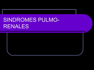 SINDROMES PULMO-RENALES 