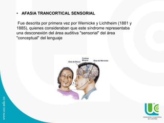 • AFASIA TRANCORTICAL SENSORIAL
Fue descrita por primera vez por Wernicke y Lichtheim (1881 y
1885), quienes consideraban que este síndrome representaba
una desconexión del área auditiva "sensorial" del área
"conceptual" del lenguaje
 