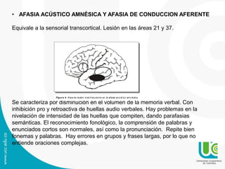 • AFASIA ACÚSTICO AMNÉSICA Y AFASIA DE CONDUCCION AFERENTE
Equivale a la sensorial transcortical. Lesión en las áreas 21 y 37.
Se caracteriza por disminución en el volumen de la memoria verbal. Con
inhibición pro y retroactiva de huellas audio verbales. Hay problemas en la
nivelación de intensidad de las huellas que compiten, dando parafasias
semánticas. El reconocimiento fonológico, la comprensión de palabras y
enunciados cortos son normales, así como la pronunciación. Repite bien
fonemas y palabras. Hay errores en grupos y frases largas, por lo que no
entiende oraciones complejas.
Figura 4. Área de lesión m ás frecuent e en la afasia acúst ico amnésica.
 