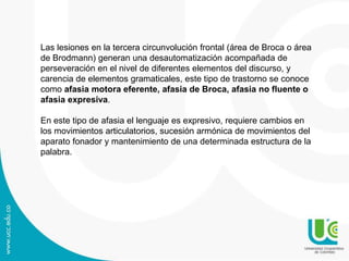 Las lesiones en la tercera circunvolución frontal (área de Broca o área
de Brodmann) generan una desautomatización acompañada de
perseveración en el nivel de diferentes elementos del discurso, y
carencia de elementos gramaticales, este tipo de trastorno se conoce
como afasia motora eferente, afasia de Broca, afasia no fluente o
afasia expresiva.
En este tipo de afasia el lenguaje es expresivo, requiere cambios en
los movimientos articulatorios, sucesión armónica de movimientos del
aparato fonador y mantenimiento de una determinada estructura de la
palabra.
 