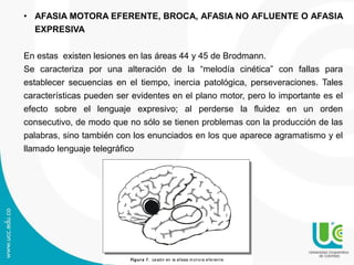 • AFASIA MOTORA EFERENTE, BROCA, AFASIA NO AFLUENTE O AFASIA
EXPRESIVA
En estas existen lesiones en las áreas 44 y 45 de Brodmann.
Se caracteriza por una alteración de la “melodía cinética” con fallas para
establecer secuencias en el tiempo, inercia patológica, perseveraciones. Tales
características pueden ser evidentes en el plano motor, pero lo importante es el
efecto sobre el lenguaje expresivo; al perderse la fluidez en un orden
consecutivo, de modo que no sólo se tienen problemas con la producción de las
palabras, sino también con los enunciados en los que aparece agramatismo y el
llamado lenguaje telegráfico
Figura 7. Lesión en la afasia m ot ora eferen te.
 
