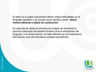 El daño en la región poscentral inferior origina dificultades en el
lenguaje repetitivo y se conoce como apraxia verbal , afasia
motora aferente o afasia de conducción.
En este tipo de afasia la persona es incapaz de encontrar la
posición adecuada del aparato fonador para la articulación del
lenguaje y en consecuencia, se halla alterada ya no la estructura
del fonema, sino del articulema (unidad articulatoria)
 