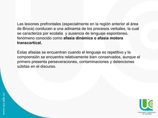 Las lesiones prefrontales (especialmente en la región anterior al área
de Broca) conducen a una adinamia de los procesos verbales, la cual
se caracteriza por ecolalia y ausencia de lenguaje espontaneo,
fenómeno conocido como afasia dinámica o afasia motora
transcortical.
Estas afasias se encuentran cuando el lenguaje es repetitivo y la
comprensión se encuentra relativamente bien conservados, aunque el
primero presenta perseveraciones, contaminaciones y detenciones
súbitas en el discurso.
 