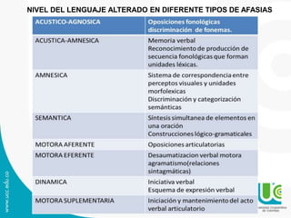 NIVEL DEL LENGUAJE ALTERADO EN DIFERENTE TIPOS DE AFASIAS
 