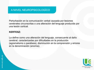 A NIIVEL NEUROPSICOLOGÍCO
Perturbación en la comunicación verbal causada por lesiones
cerebrales circunscritas o una alteración del lenguaje producida por
una lesión cortical.
KERTESZ:
La define como una alteración del lenguaje, consecuente al daño
cerebral, caracterizadas por dificultades en la producción
(agramatismo o parafasia), disminución en la comprensión y errores
en la denominación (anomia).
 