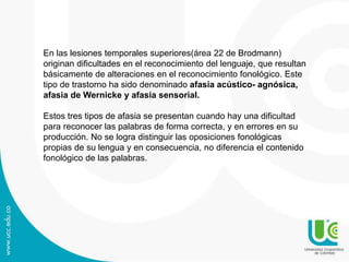 En las lesiones temporales superiores(área 22 de Brodmann)
originan dificultades en el reconocimiento del lenguaje, que resultan
básicamente de alteraciones en el reconocimiento fonológico. Este
tipo de trastorno ha sido denominado afasia acústico- agnósica,
afasia de Wernicke y afasia sensorial.
Estos tres tipos de afasia se presentan cuando hay una dificultad
para reconocer las palabras de forma correcta, y en errores en su
producción. No se logra distinguir las oposiciones fonológicas
propias de su lengua y en consecuencia, no diferencia el contenido
fonológico de las palabras.
 