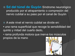 Neuropatías por 
entrampamiento del Nervio 
Radial  Sd del interóseo posterior es 
un sd que produce un déficit 
motor pr...