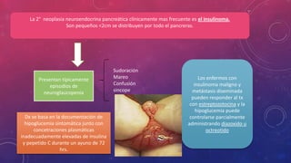La 2° neoplasia neuroendocrina pancreática clínicamente mas frecuente es el insulinoma.
Son pequeños <2cm se distribuyen por todo el pancreras.
Presentan típicamente
episodios de
neuroglaucopenia
Sudoración
Mareo
Confusión
sincope
Dx se basa en la documentación de
hipoglucemia sintomática junto con
concetraciones plasmáticas
inadecuadamente elevadas de insulina
y pepetido C durante un ayuno de 72
hrs.
Los enfermos con
insulinoma maligno y
metástasis diseminada
pueden responder al tx
con estreptozotocina y la
hipoglucemia puede
controlarse parcialmente
administrando diazoxido u
octreotido
 