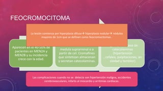 FEOCROMOCITOMA
Aparecen en el 40-50% de
pacientes en MEN2A y
MEN2B y su incidencia
crece con la edad.
Se desarrollan en la
medula suprarrenal o a
partir de cel. Cromafines
que sintetizan almacenan
y secretan catecolaminas.
Signos por exceso de
catecolaminas
(hipertensión
, cefalea, palpitaciones, an
siedad y temblor)
Las complicaciones cuando no se detecta son hipertensión maligna, accidentes
cerebrovasculares, infarto al miocardio y arritmias cardiacas.
La lesión comienza por hiperplasia difusa hiperplasia nodular nódulos
mayores de 1cm que se definen como feocromocitomas .
 
