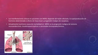 • Las manifestaciones clínicas en pacientes con MEN1 depende del tejido afectado, la superproducción de
hormona determinada o efecto de masa local y progresión maligna de neoplasia.
• Actualmente la primera causa de mortalidad en MEN1 es la progresión maligna de tumores
neuroendocrinos, duodenopancreaticos o carcinoides bronquiales/timicos.
 
