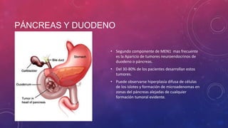 PÁNCREAS Y DUODENO
• Segundo componente de MEN1 mas frecuente
es la Aparicio de tumores neuroendocrinos de
duodeno o páncreas.
• Del 30-80% de los pacientes desarrollan estos
tumores.
• Puede observarse hiperplasia difusa de células
de los islotes y formación de microadenomas en
zonas del páncreas alejadas de cualquier
formación tumoral evidente.
 