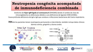Neutropenia congénita acompañada
de inmunodeficiencia combinada
Spoor J, Farajifard H, Rezaei N. Congenital neutropenia an...
