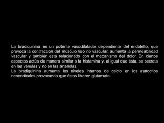 La bradiquinina es un potente vasodilatador dependiente del endotelio, que
provoca la contracción del músculo liso no vascular, aumenta la permeabilidad
vascular y también está relacionado con el mecanismo del dolor. En ciertos
aspectos actúa de manera similar a la histamina y, al igual que ésta, se secreta
en las vénulas y no en las arteriolas.
La bradiquinina aumenta los niveles internos de calcio en los astrocitos
neocorticales provocando que éstos liberen glutamato.
 