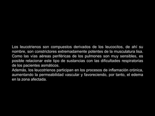 Los leucotrienos son compuestos derivados de los leucocitos, de ahí su
nombre, son constrictores extremadamente potentes de la musculatura lisa.
Como las vías aéreas periféricas de los pulmones son muy sensibles, es
posible relacionar este tipo de sustancias con las dificultades respiratorias
de los pacientes asmáticos.
Además, los leucotrienos participan en los procesos de inflamación crónica,
aumentando la permeabilidad vascular y favoreciendo, por tanto, el edema
en la zona afectada.
 