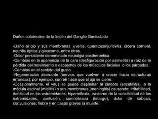 Daños colaterales de la lesión del Ganglio Geniculado
-Daño al ojo y sus membranas: uveítis, queratoconjuntivitis, úlcera corneal,
neuritis óptica y glaucoma, entre otras.
-Dolor persistente denominado neuralgia postherpética.
-Cambios en la apariencia de la cara (desfiguración por asimetría) a raíz de la
pérdida del movimiento o espasmos de los músculos faciales o los párpados.
-Cambios en el sentido del gusto.
-Regeneración aberrante (nervios que vuelven a crecer hacia estructuras
erróneas); por ejemplo, sonreír hace que el ojo se cierre.
-Ocasionalmente, el virus se puede diseminar al cerebro (encefalitis), a la
médula espinal (mielitis) o sus membranas (meningitis) causando: irritabilidad,
debilidad en las extremidades, hiperreflexia, trastorno de la sensibilidad de las
extremidades, confusión, somnolencia (letargo), dolor de cabeza,
convulsiones, fiebre y en casos graves la muerte.
 