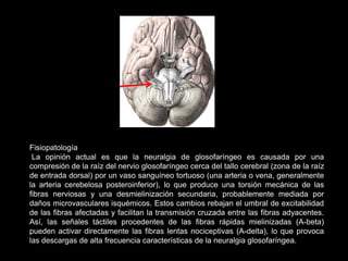 Fisiopatología
La opinión actual es que la neuralgia de glosofaríngeo es causada por una
compresión de la raíz del nervio glosofaríngeo cerca del tallo cerebral (zona de la raíz
de entrada dorsal) por un vaso sanguíneo tortuoso (una arteria o vena, generalmente
la arteria cerebelosa posteroinferior), lo que produce una torsión mecánica de las
fibras nerviosas y una desmielinización secundaria, probablemente mediada por
daños microvasculares isquémicos. Estos cambios rebajan el umbral de excitabilidad
de las fibras afectadas y facilitan la transmisión cruzada entre las fibras adyacentes.
Así, las señales táctiles procedentes de las fibras rápidas mielinizadas (A-beta)
pueden activar directamente las fibras lentas nociceptivas (A-delta), lo que provoca
las descargas de alta frecuencia características de la neuralgia glosofaríngea.
 