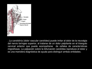 . La carotidinia (dolor vascular carotídeo) puede imitar al dolor de la neuralgia
del nervio laríngeo superior, al tratarse de un dolor palpitante en el triangulo
cervical anterior que puede acompañarse de cefalea de características
migrañosas. La palpación sobre la bifurcación carotídea reproduce el dolor y
es una maniobra diagnóstica de ayuda para distinguir ambas entidades.
 