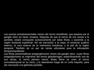 Zona bilaminar
En el caso de patología de articulación temporomandibular de tipo
degenerativo, la sintomatología aparece hasta que la lesión ha alcanzado el
área bilaminar que está inervada por ramas del auriculotemporal, el restos de
la articulación posee una inervación pobre, por lo que el chasquido o “tronido”
resulta “divertido” para los pacientes.
 