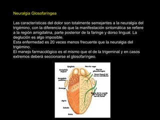 Neuralgia Glosofaríngea
Las características del dolor son totalmente semejantes a la neuralgia del
trigémino, con la diferencia de que la manifestación sintomática se refiere
a la región amigdalina, parte posterior de la faringe y dorso lingual. La
deglución es algo imposible.
Esta enfermedad es 20 veces menos frecuente que la neuralgia del
trigémino.
El manejo farmacológico es el mismo que el de la trigeminal y en casos
extremos deberá seccionarse el glosofaríngeo.
 