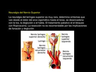 Neuralgia del Nervio Superior
La neuralgia del laríngeo superior es muy rara, determina síntomas que
van desde el dolor del arco cigomático hasta el torax, se desencadena
con la tos, la deglución o el habla. El tratamiento paliativo el el bloqueo
con Ropivacaína. La resección no es recomendable por las implicaciones
de fonación y deglución.
 
