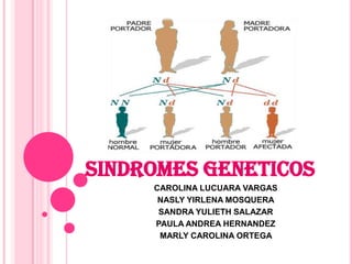 SINDROMES GENETICOS  CAROLINA LUCUARA VARGAS NASLY YIRLENA MOSQUERA SANDRA YULIETH SALAZAR PAULA ANDREA HERNANDEZ MARLY CAROLINA ORTEGA  