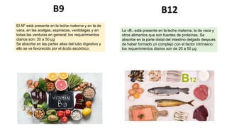 El AF está presente en la leche materna y en la de
vaca, en las acelgas, espinacas, verdolagas y en
todas las verduras en general; los requerimientos
diarios son: 20 a 50 μg
Se absorbe en las partes altas del tubo digestivo y
ello se ve favorecido por el ácido ascórbico.
La vB12 está presente en la leche materna, la de vaca y
otros alimentos que son fuentes de proteínas. Se
absorbe en la parte distal del intestino delgado después
de haber formado un complejo con el factor intrínseco;
los requerimientos diarios son de 20 a 50 μg
B9 B12
 